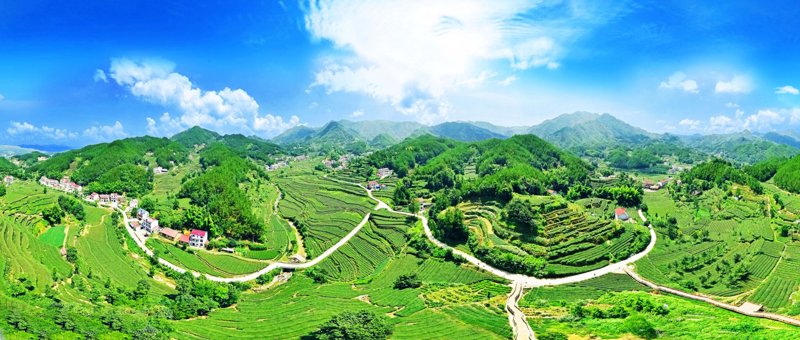 老区乡村振兴