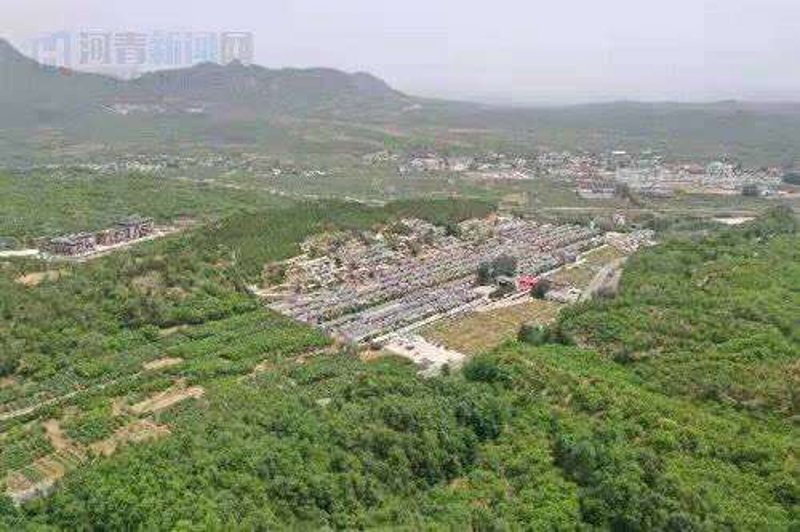 老区建设再添新动力——促进会引领乡村振兴